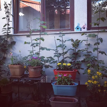 Deedee Appartement